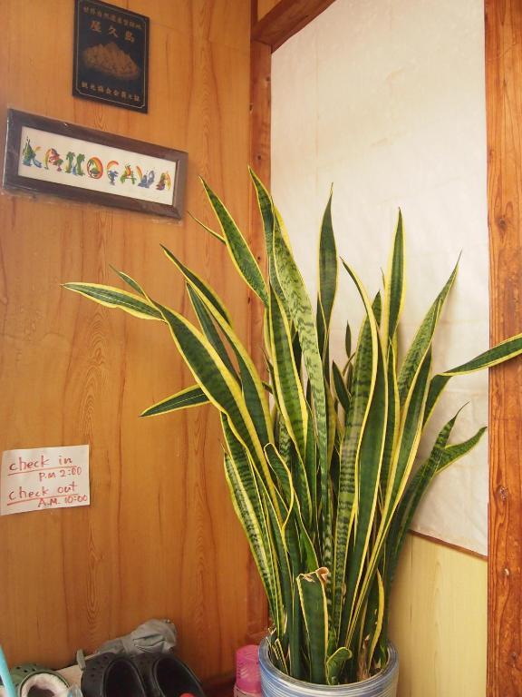 Tirol Otel Yakushima  Oda fotoğraf